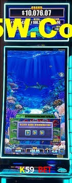Live Casino K59 Bet